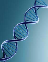 Fragile-x Syndrome Disability Genetic