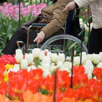 Act Decision Mental Capacity Lacking
